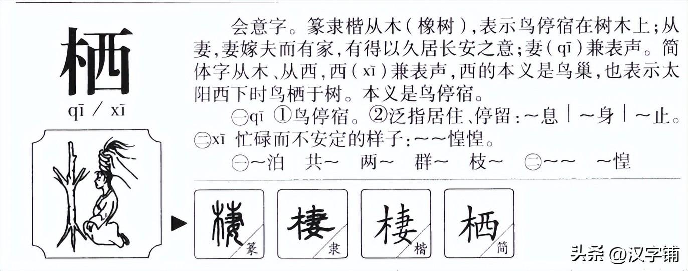 探索语音变迁奥秘，哦的最新读音揭秘