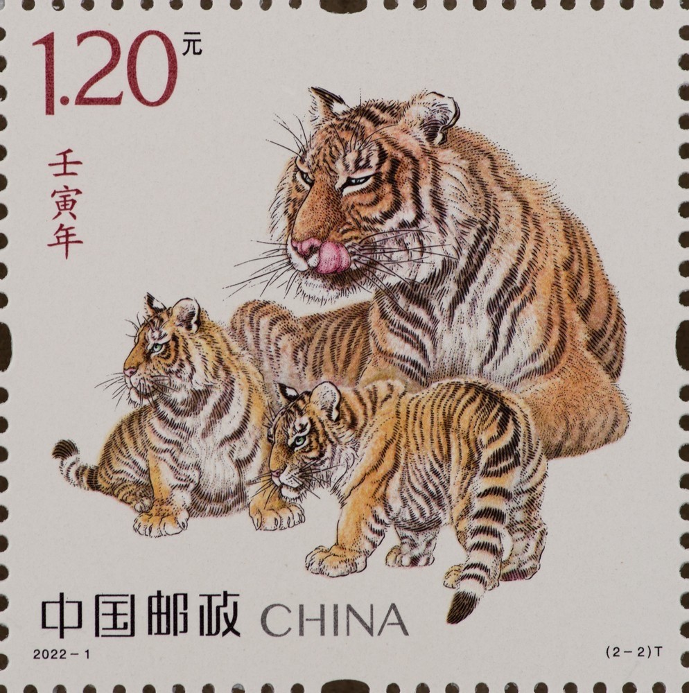 白小姐三肖三期必出一期开奖虎年,全方位操作计划_极致版59.295