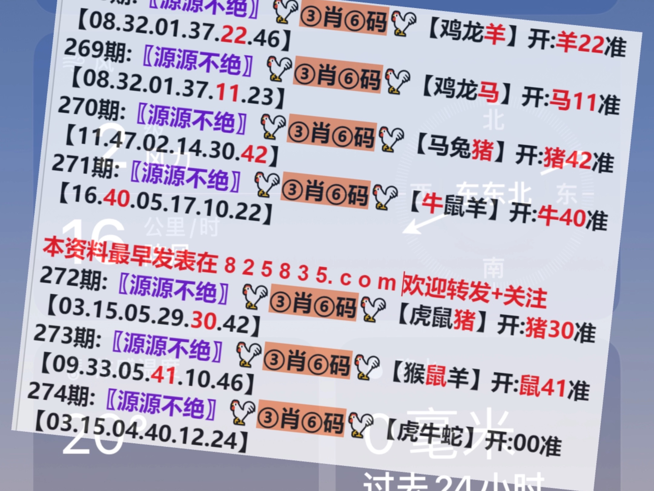 2024年新澳门开码结果,数据导向程序解析_幽雅版91.731