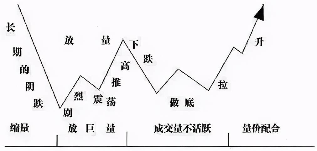 一码一肖一特一中2024,高度协调实施_为你版94.951