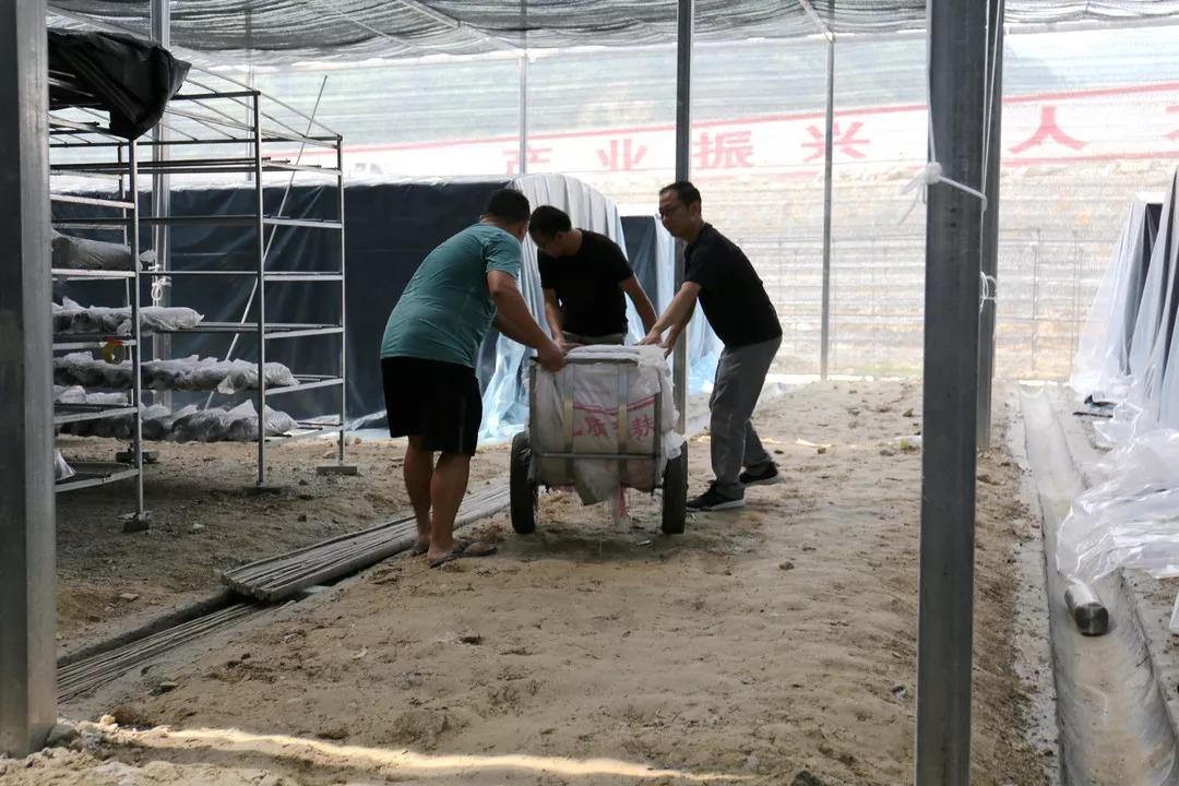 柳陂最新建设详细步骤指南