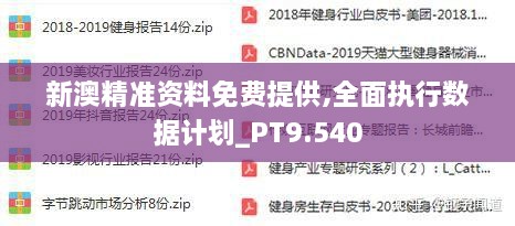 新澳准资料免费提供,完善实施计划_限定版83.738