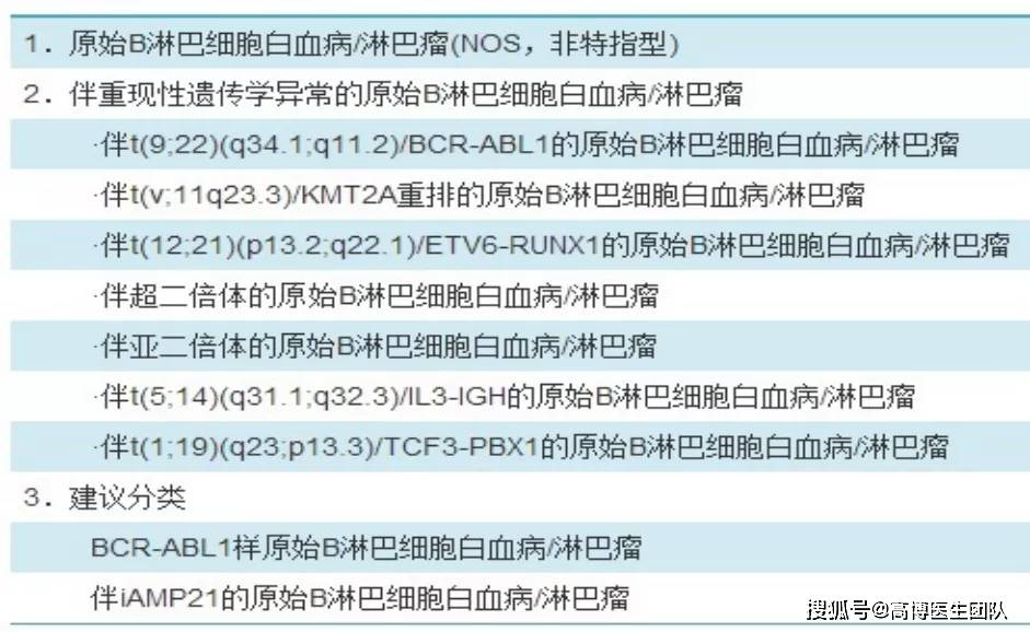新澳精准资料大全,多元化诊断解决_移动版70.294