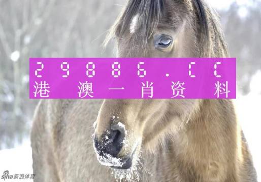 澳门一肖一码100%准确？,精细化方案决策_升级版21.449