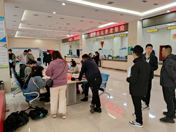 陕西凤翔最新招聘信息详解