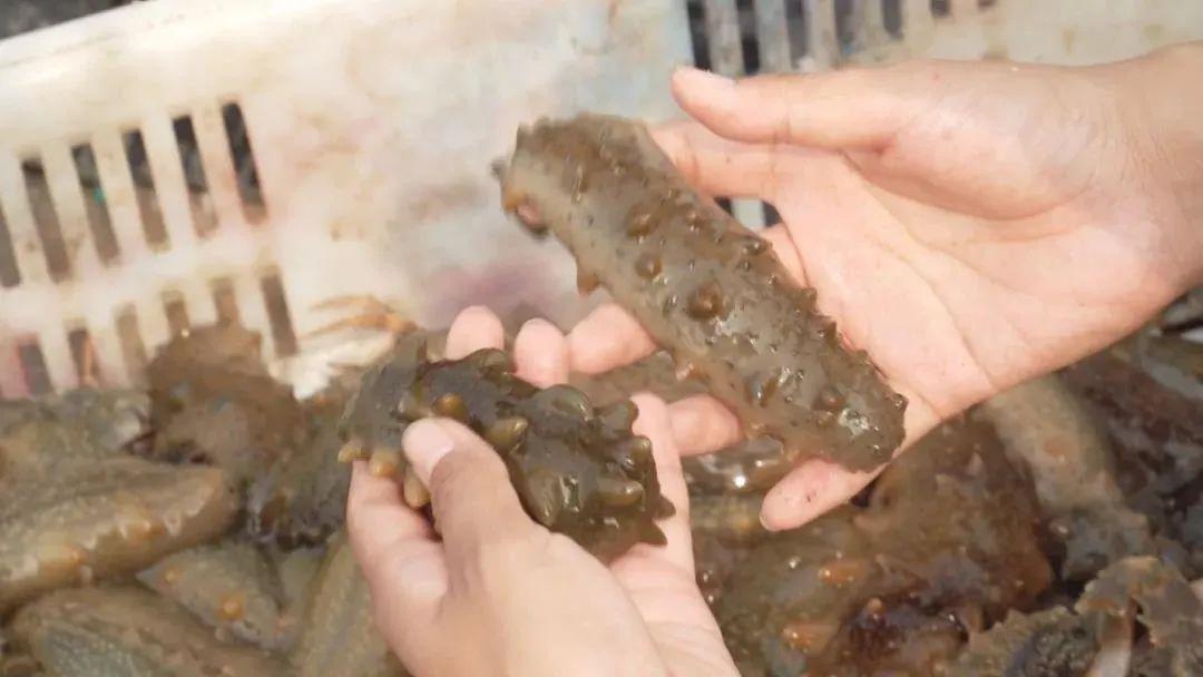 汽车零部件 第295页