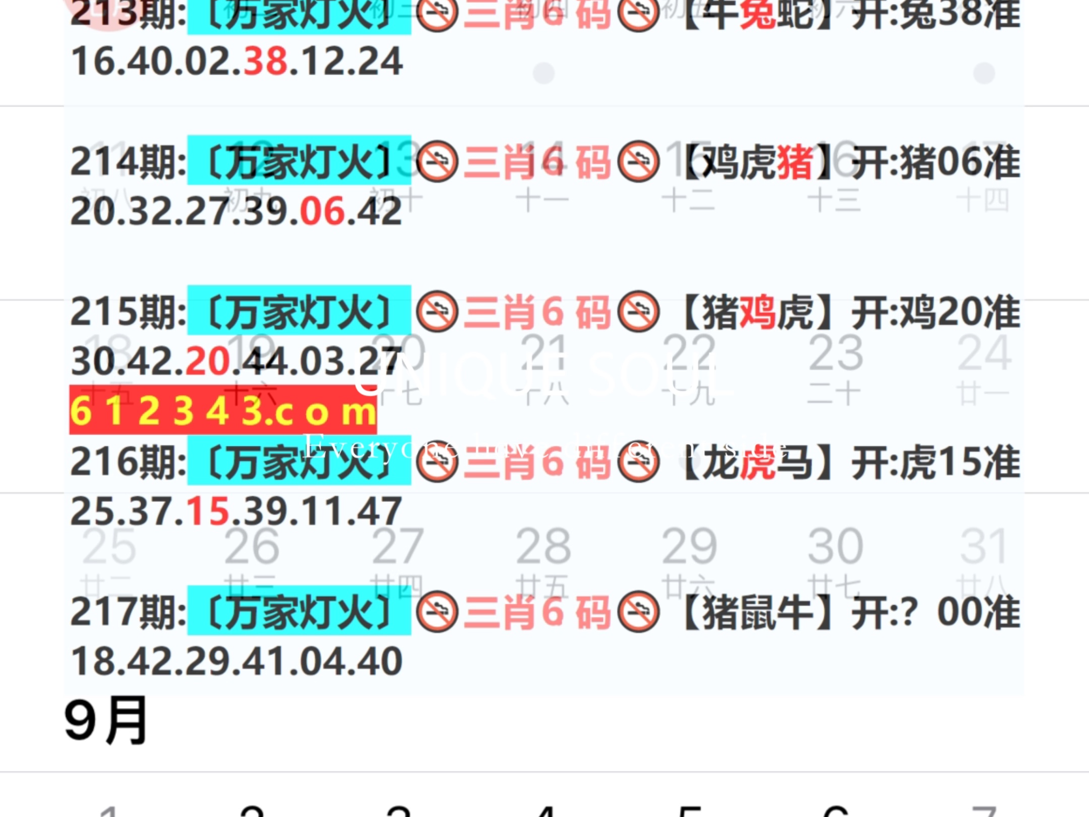 2024年341期奥门开奖结果,新式数据解释设想_实用版63.731