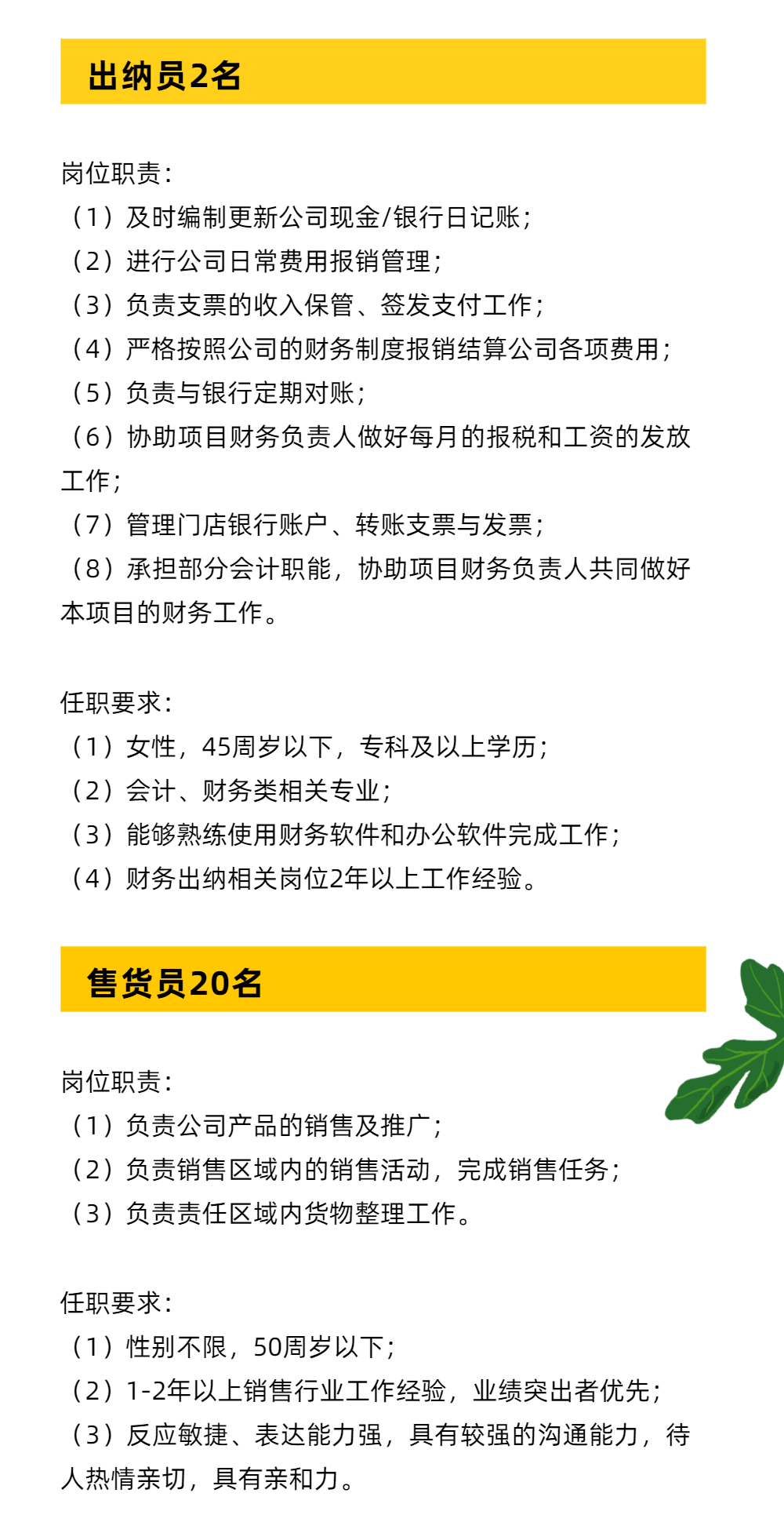 当涂出纳会计招聘之旅，探寻会计人才的奇妙之旅